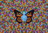 The Butterfly Effect by John Kraft